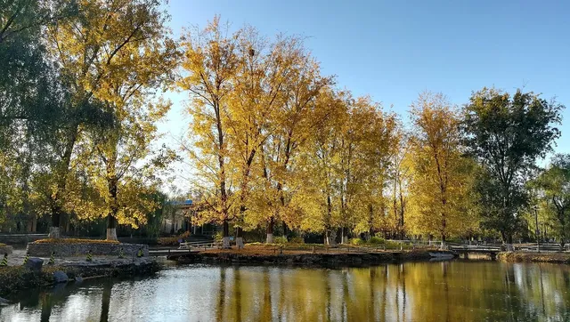 Autumn Sun 