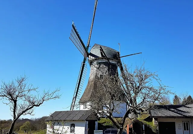 Flour Mill