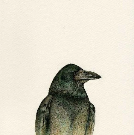 Anna Vialle
