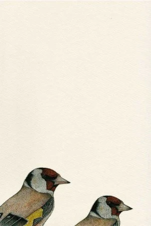 Goldfinch