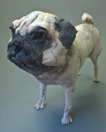 Standing Pug